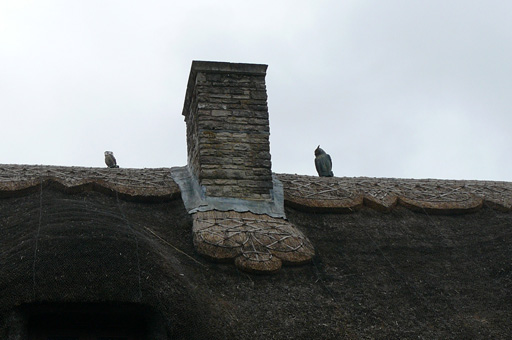 Owl figures on thatch roof in Purlbeck,U.K