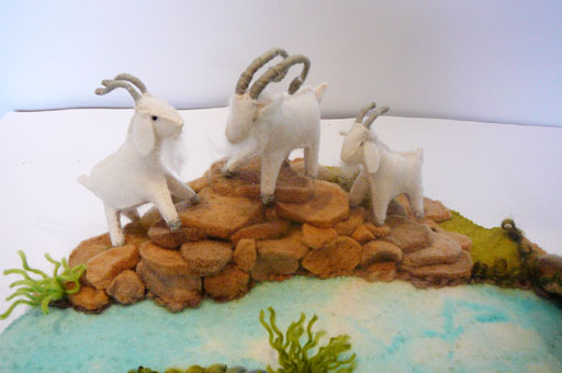 Now there are three goats on the rocks
